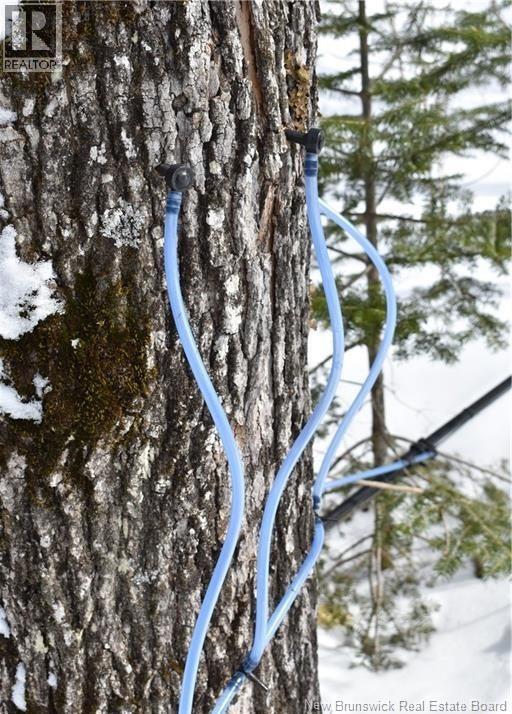 344 Route 575, Pole Hill, New Brunswick  E7P 3H9 - Photo 12 - NB132225