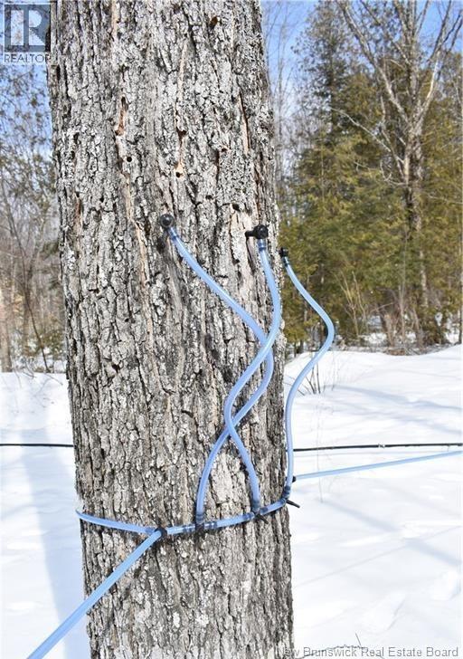 344 Route 575, Pole Hill, New Brunswick  E7P 3H9 - Photo 13 - NB132225