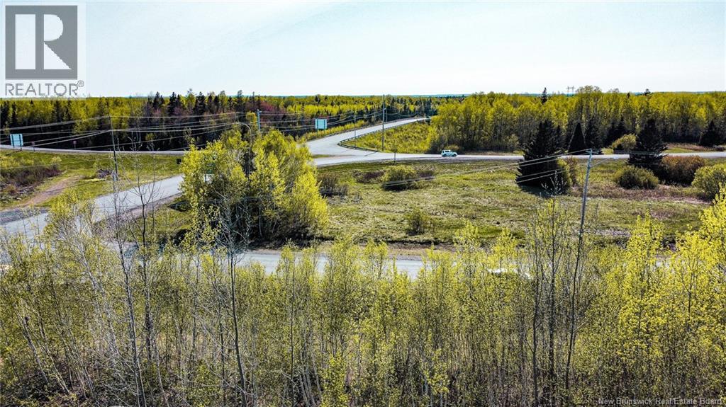 1 St Anne Street, Bathurst, New Brunswick E2A 6X2 - Photo 6 - NB132257