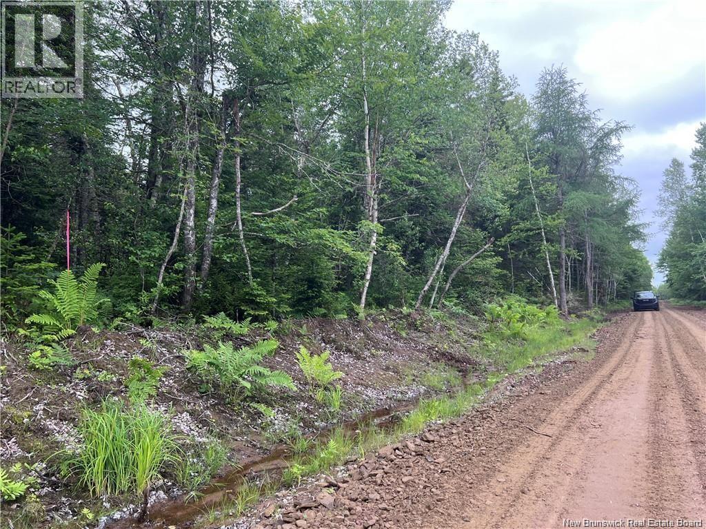 Lot 1 Murray Road, Smiths Corner, New Brunswick  E4T 1K8 - Photo 5 - NB132542