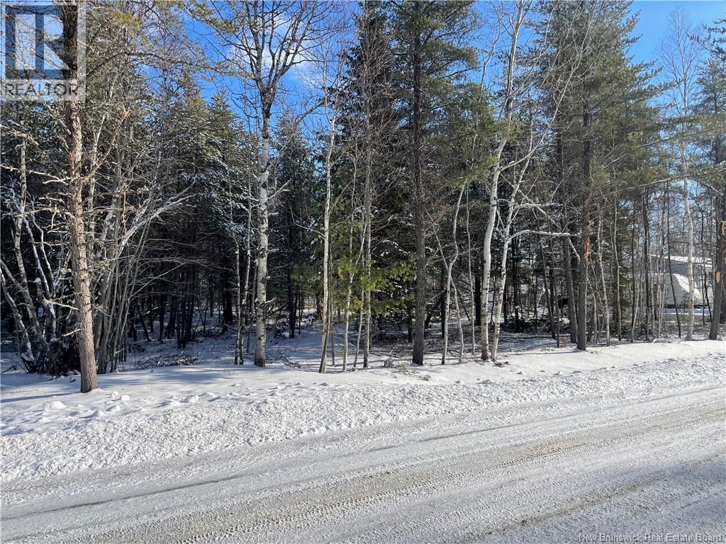 Lot 74-17 Honey Street, Miramichi, New Brunswick  E1N 3P9 - Photo 3 - NB132579