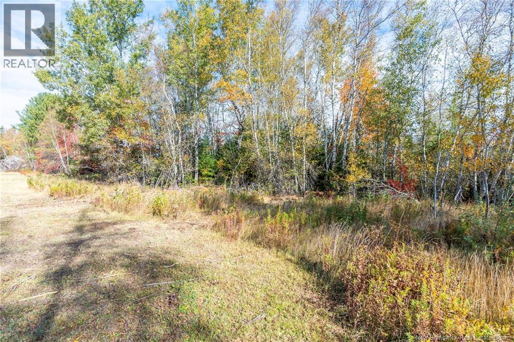 413 Bass River Point Road, Bass River, New Brunswick  E4T 1H9 - Photo 11 - NB132759