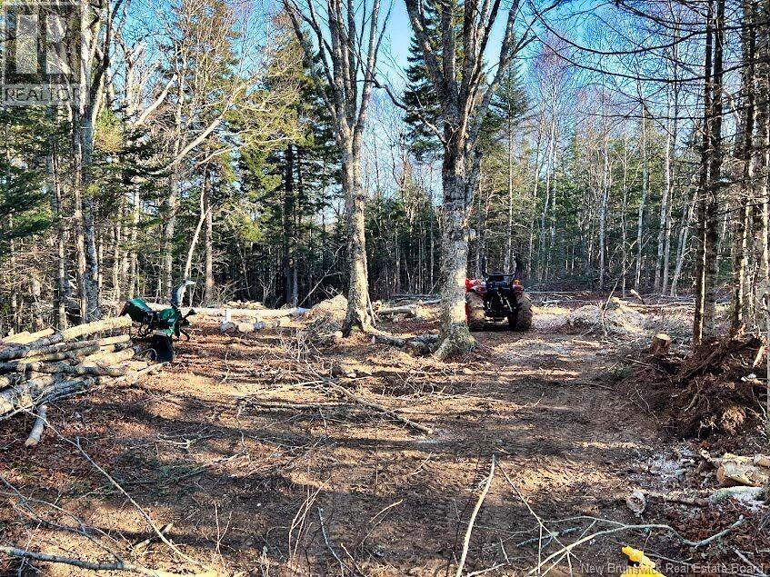 929 Route 774, Welshpool, New Brunswick E5E 1B1 - Photo 1 - NB132931