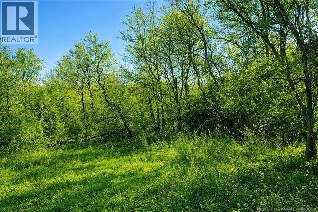 10001 105 Route, Beechwood, New Brunswick E7J 1V3 - Photo 7 - NB133019