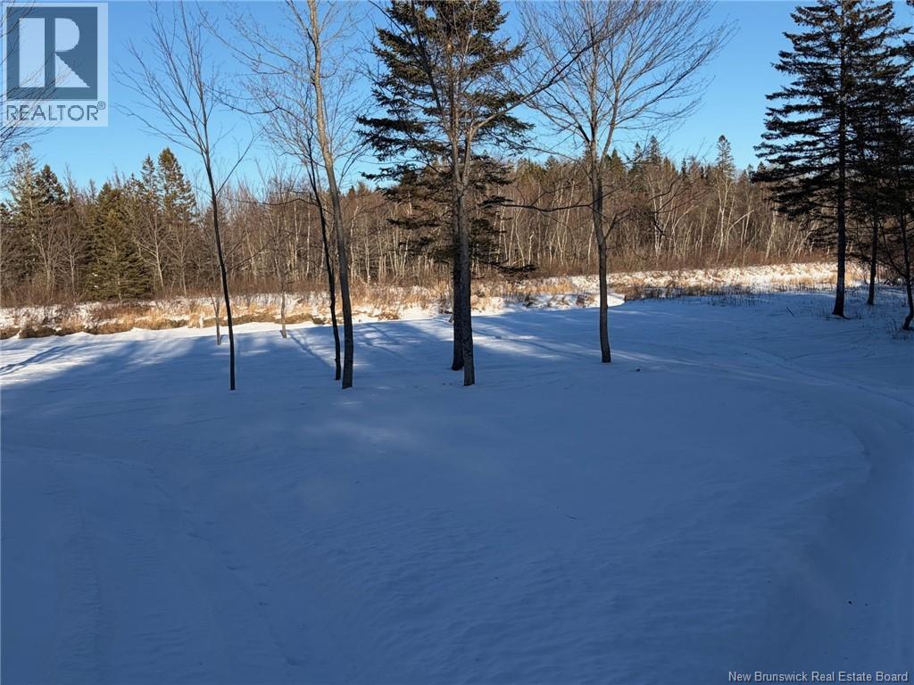 00-2 Reardon Road, Elmsville, New Brunswick E5A 0B5 - Photo 10 - NB133269