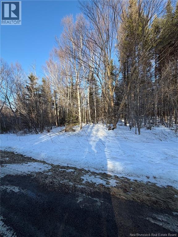 00-2 Reardon Road, Elmsville, New Brunswick E5A 0B5 - Photo 13 - NB133269