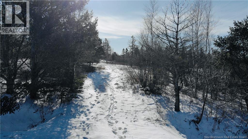 278 Pont Rouge, Memramcook, New Brunswick E4K 1T6 - Photo 6 - NB133322
