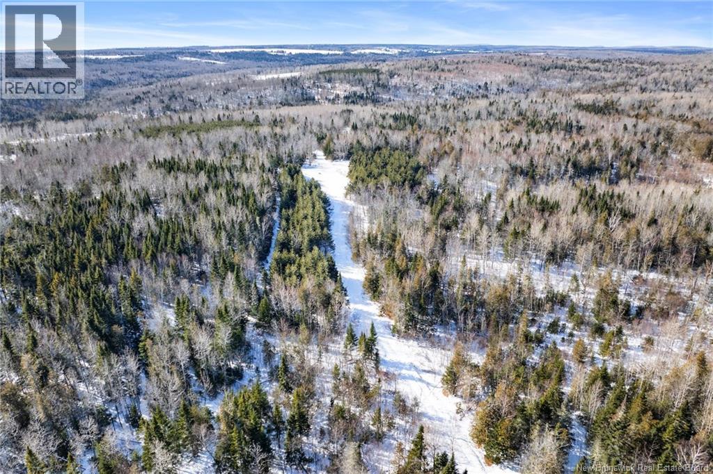 Lot Route 620, Tay Creek, New Brunswick  O0O 0O0 - Photo 3 - NB133525
