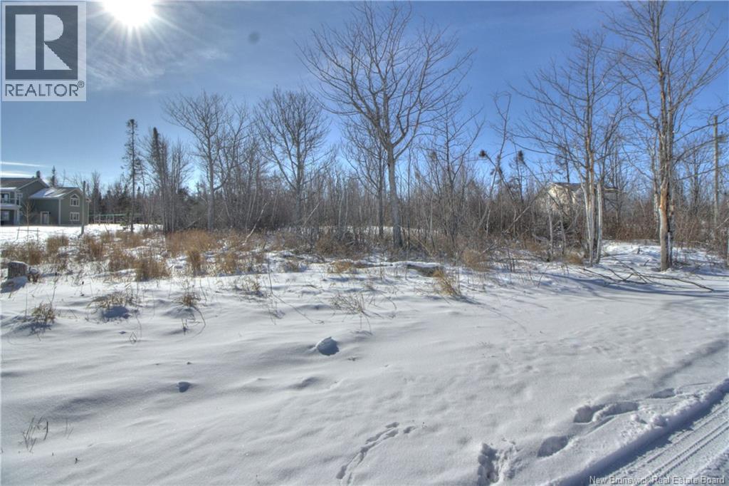 Lot Birch Crescent, Grand-Barachois, New Brunswick E4P 7X3 - Photo 6 - NB133599