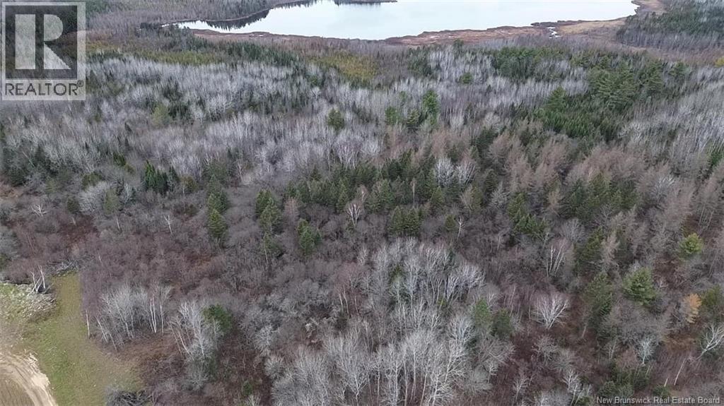 N/a Tobin Road, Elmwood, New Brunswick  W7N 2C6 - Photo 3 - NB133609
