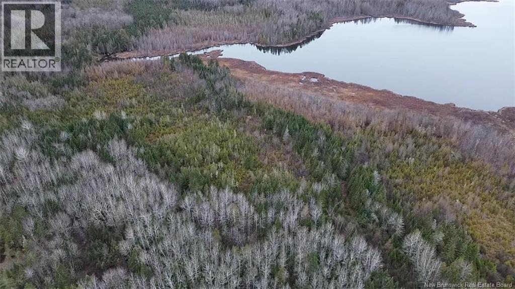 N/a Tobin Road, Elmwood, New Brunswick  W7N 2C6 - Photo 6 - NB133609