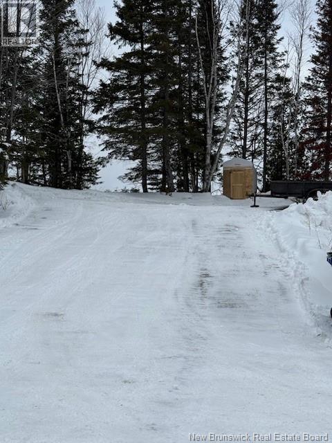 267 Marcoux Street, Balmoral, New Brunswick E8E 1J3 - Photo 39 - NB133684