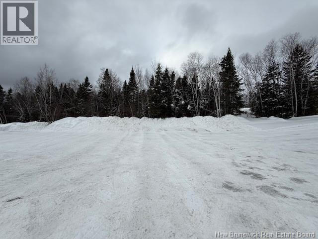 267 Marcoux Street, Balmoral, New Brunswick E8E 1J3 - Photo 40 - NB133684