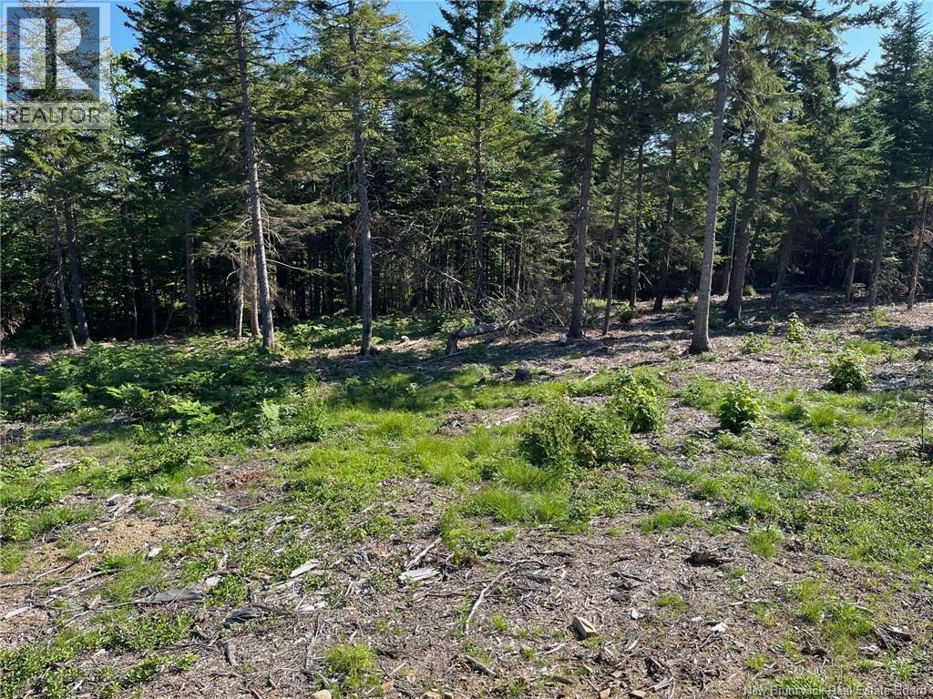 2021-1 Trailside Lane, Central Hainesville, New Brunswick  E3E 1S1 - Photo 3 - NB133714