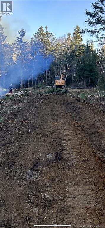 2021-1 Trailside Lane, Central Hainesville, New Brunswick  E3E 1S1 - Photo 6 - NB133714