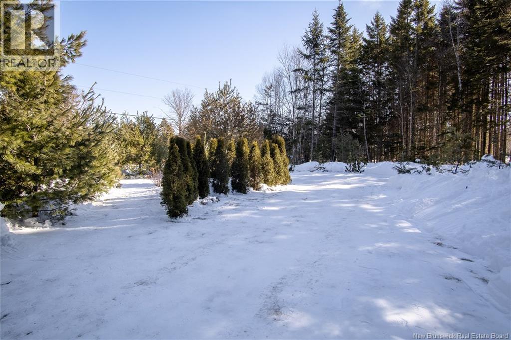 95 Neck Road, Summerville, New Brunswick  E5S 1A4 - Photo 22 - NB133760