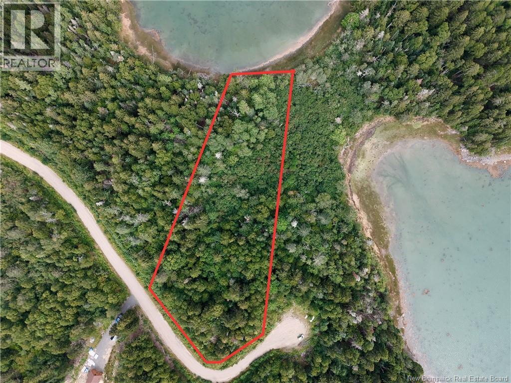 Millstream Court, Campobello Island, New Brunswick  E5E 1S5 - Photo 2 - NB133906