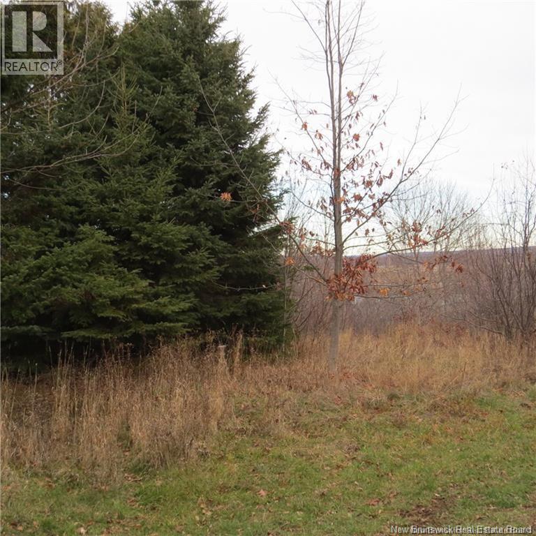 4717 102 Rte, Queenstown, New Brunswick  E5M 2A3 - Photo 5 - NB134150