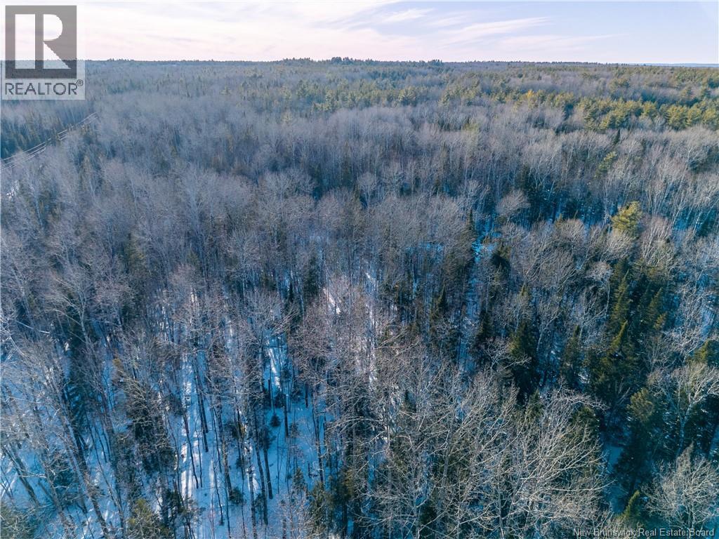 99-19 Route 8, Renous, New Brunswick  E9B 1V1 - Photo 15 - NB134166