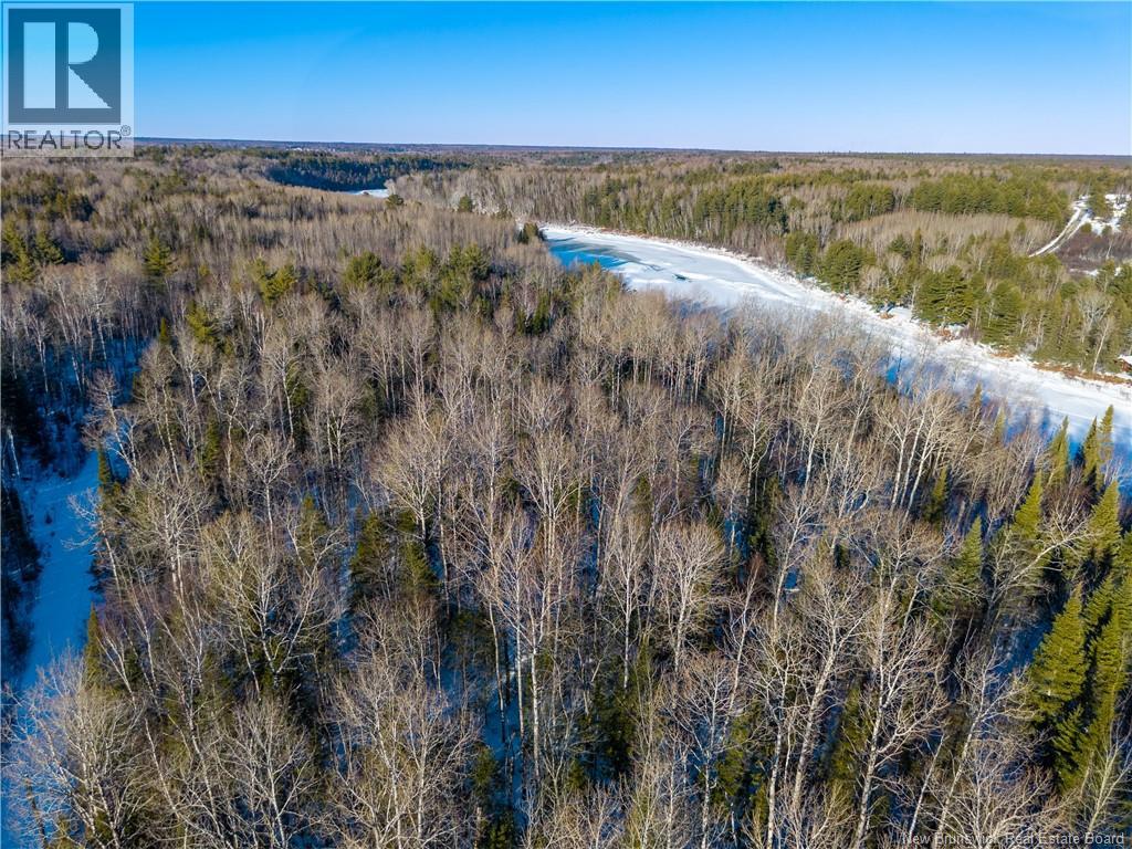 99-19 Route 8, Renous, New Brunswick  E9B 1V1 - Photo 19 - NB134166