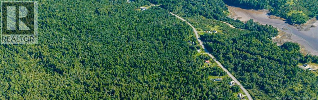 Lot 3 Route 172, Letang, New Brunswick  E5C 1W4 - Photo 21 - NB134467