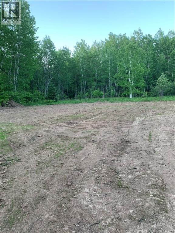 Land Route 114, Stoney Creek, New Brunswick  E4H 4S4 - Photo 11 - NB134453