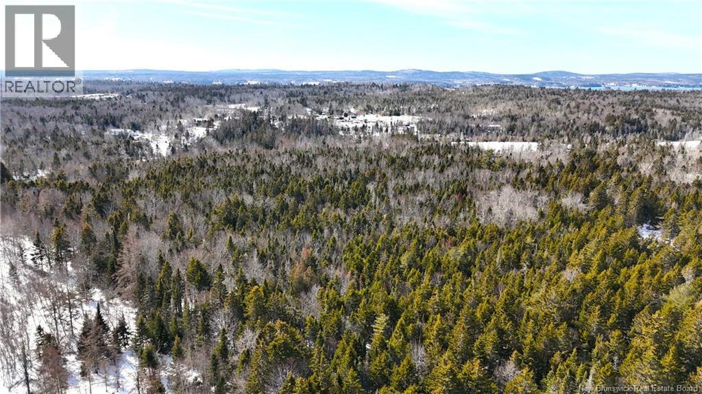 000 Harkness Road, Saint Andrews, New Brunswick  E5B 3E7 - Photo 9 - NB134429