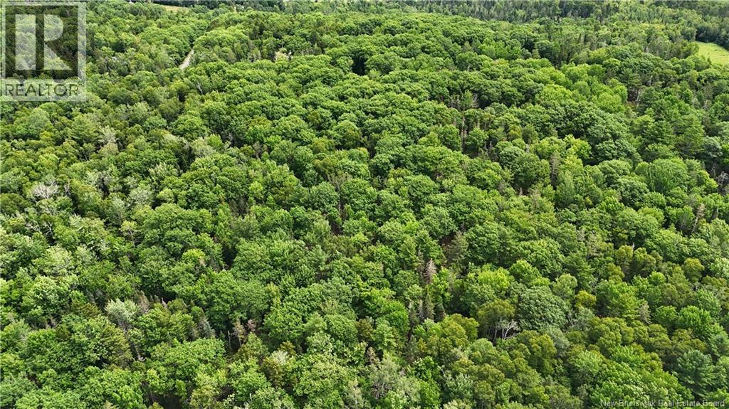 Lot 12-2 Hills Point Road, Oak Bay, New Brunswick E3L 4K5 - Photo 10 - NB133952