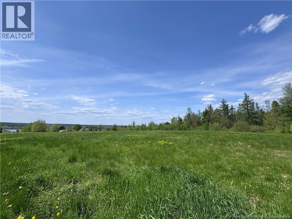 Lot Bridge Drive, Cambridge-Narrows, New Brunswick  E4C 1W3 - Photo 5 - NB135311