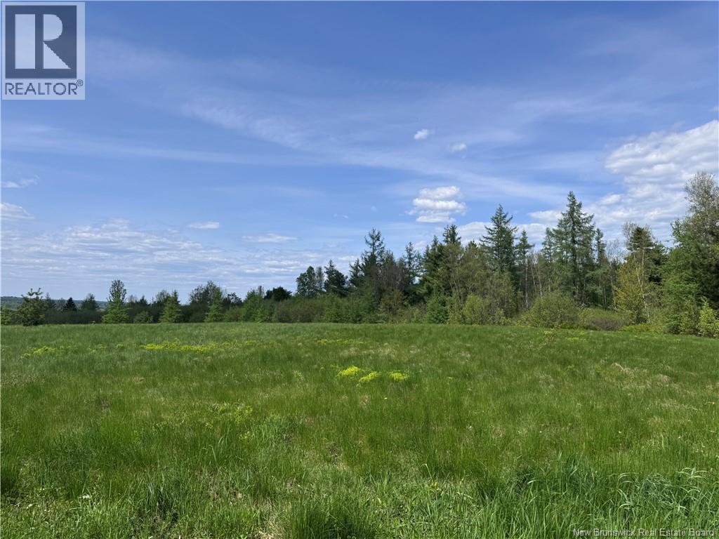 Lot Bridge Drive, Cambridge-Narrows, New Brunswick  E4C 1W3 - Photo 7 - NB135311