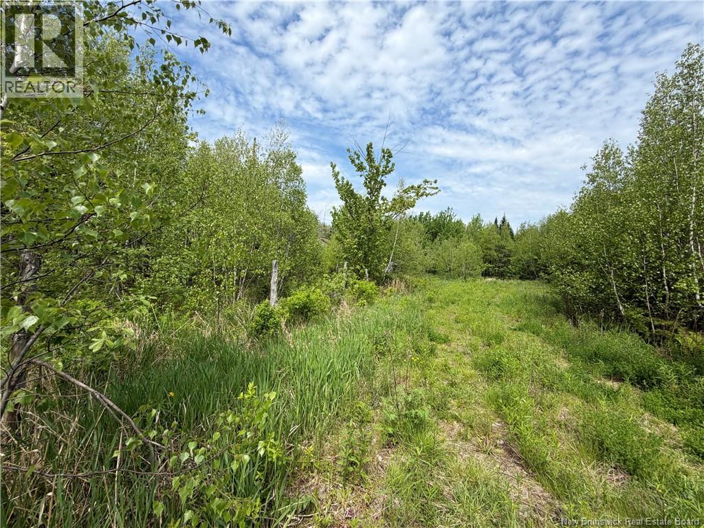 225 South Black River Road, Black River Bridge, New Brunswick  E1N 5S5 - Photo 13 - NB135295