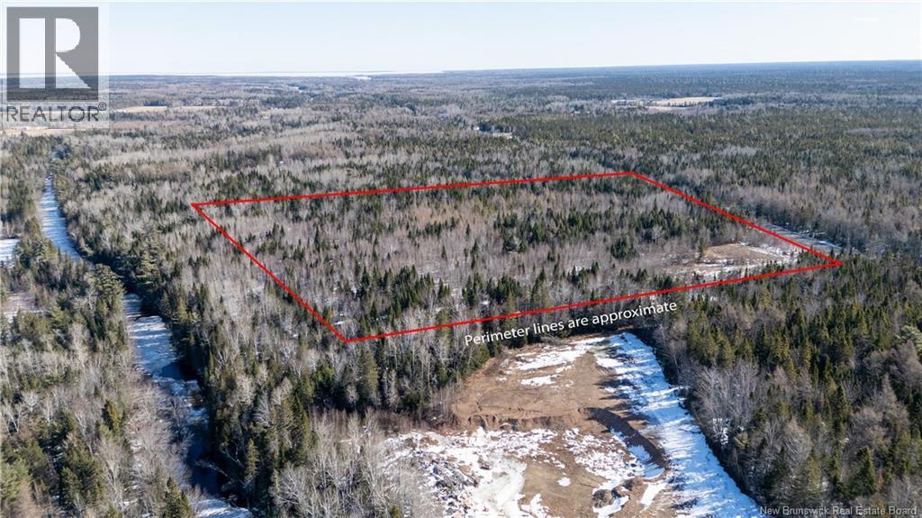 225 South Black River Road, Black River Bridge, New Brunswick  E1N 5S5 - Photo 5 - NB135295