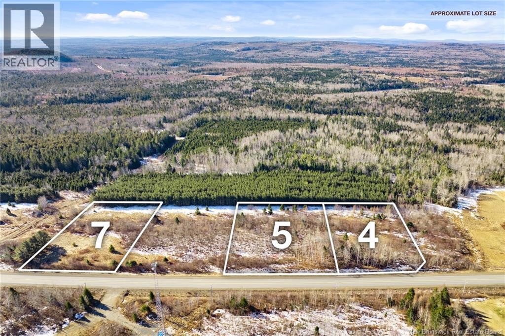 Lot 93-4 Route 104, Middle Hainesville, New Brunswick  E6E 2H2 - Photo 9 - NB135345