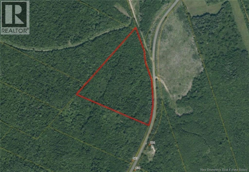 Lot 02-5 Renauds Mills Road, Saint-Antoine, New Brunswick  E4V 2X7 - Photo 10 - NB135747
