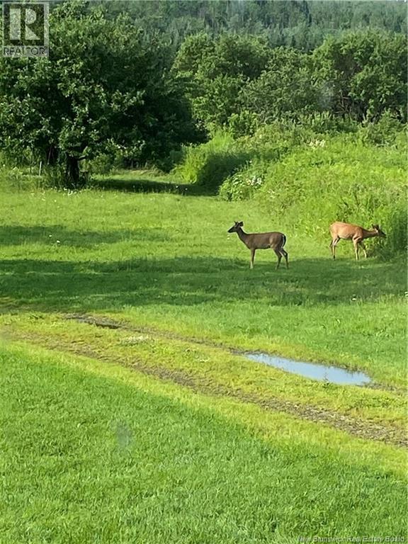 1359 Route 110, Royalton, New Brunswick E7K 2C8 - Photo 14 - NB135765
