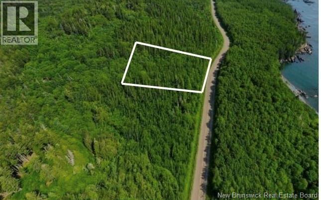 341 Fundy Drive, Wilsons Beach, New Brunswick  E5E 1K7 - Photo 7 - NB136181