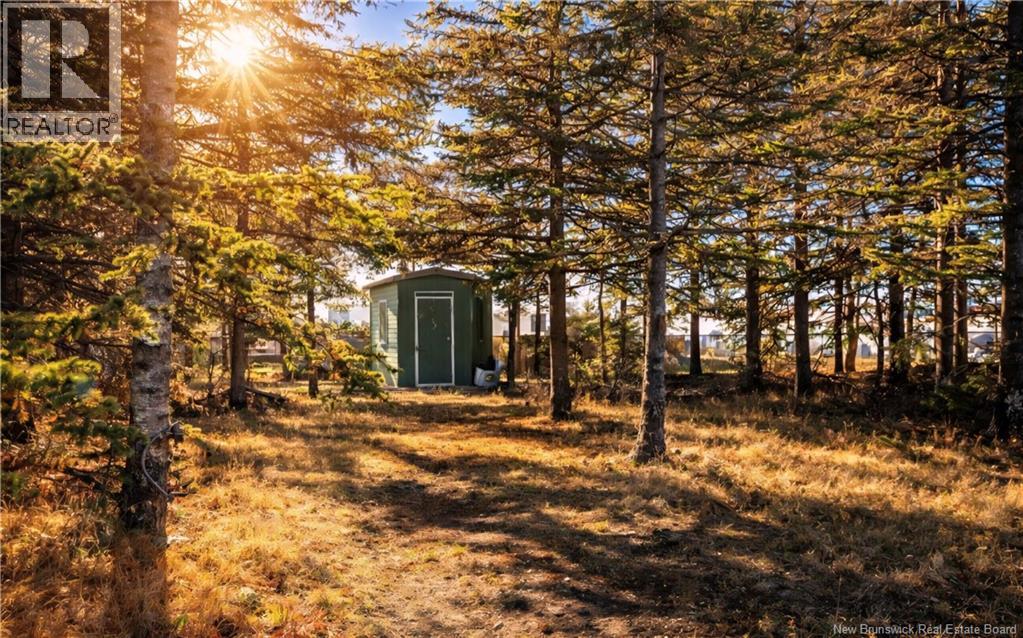 0.2 Acres Rue Stella, Pointe-Brûlée, New Brunswick  E8S 2V4 - Photo 2 - NB136371
