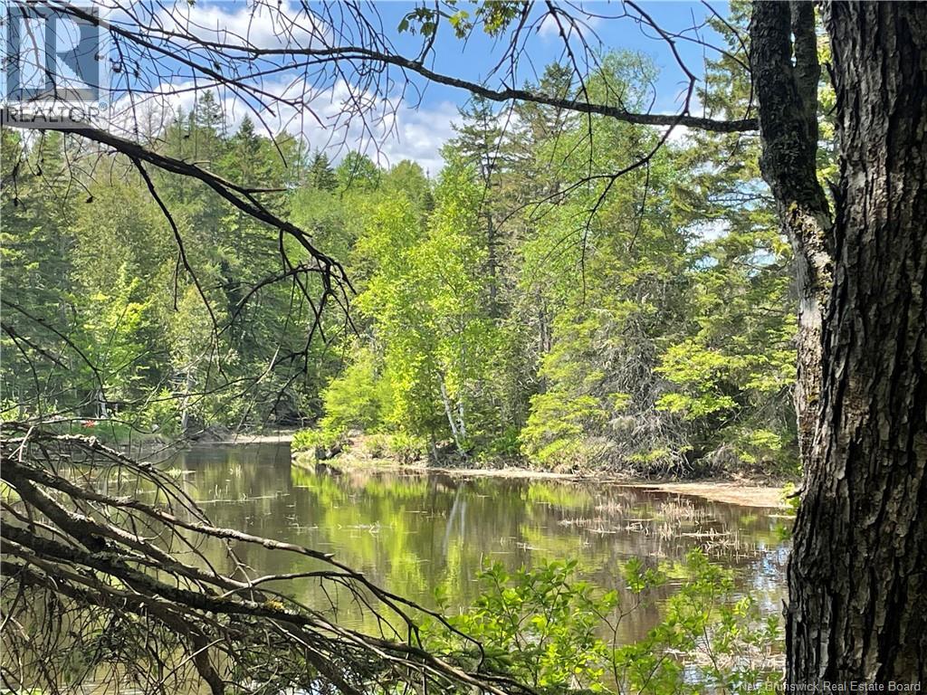 Lot 23-1 And Lot 23-2 Alden Warmen Road, Bass River, New Brunswick E4T 1A9 - Photo 15 - NB136348