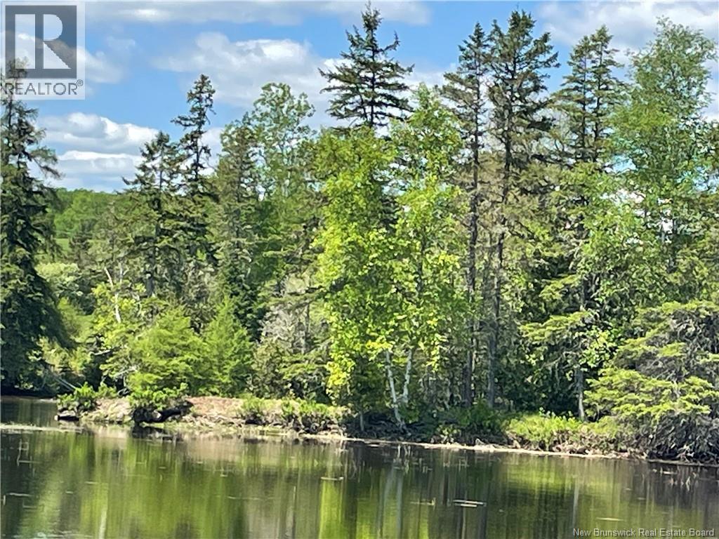 Lot 23-1 And Lot 23-2 Alden Warmen Road, Bass River, New Brunswick E4T 1A9 - Photo 17 - NB136348
