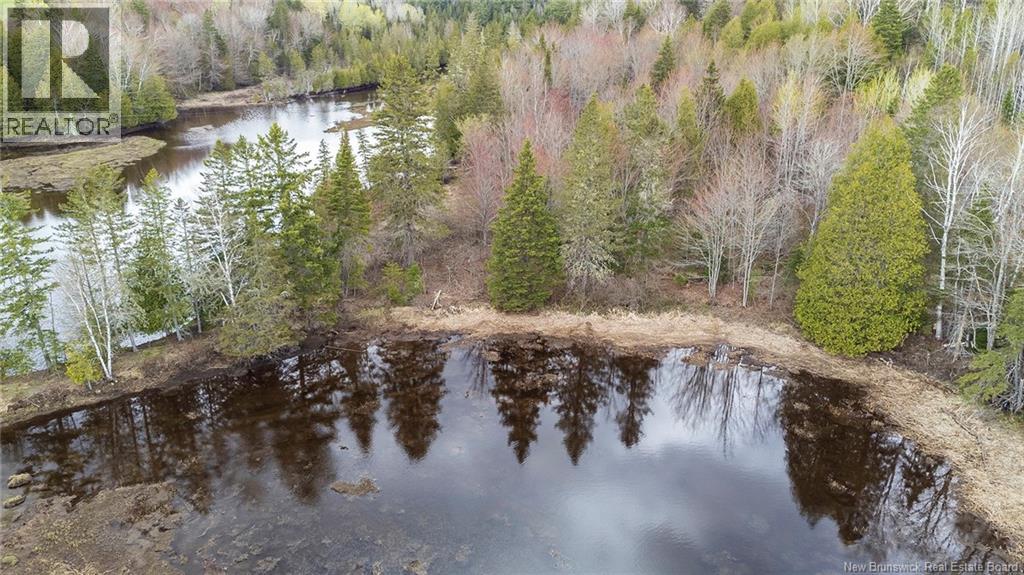 Lot 23-1 And Lot 23-2 Alden Warmen Road, Bass River, New Brunswick E4T 1A9 - Photo 28 - NB136348