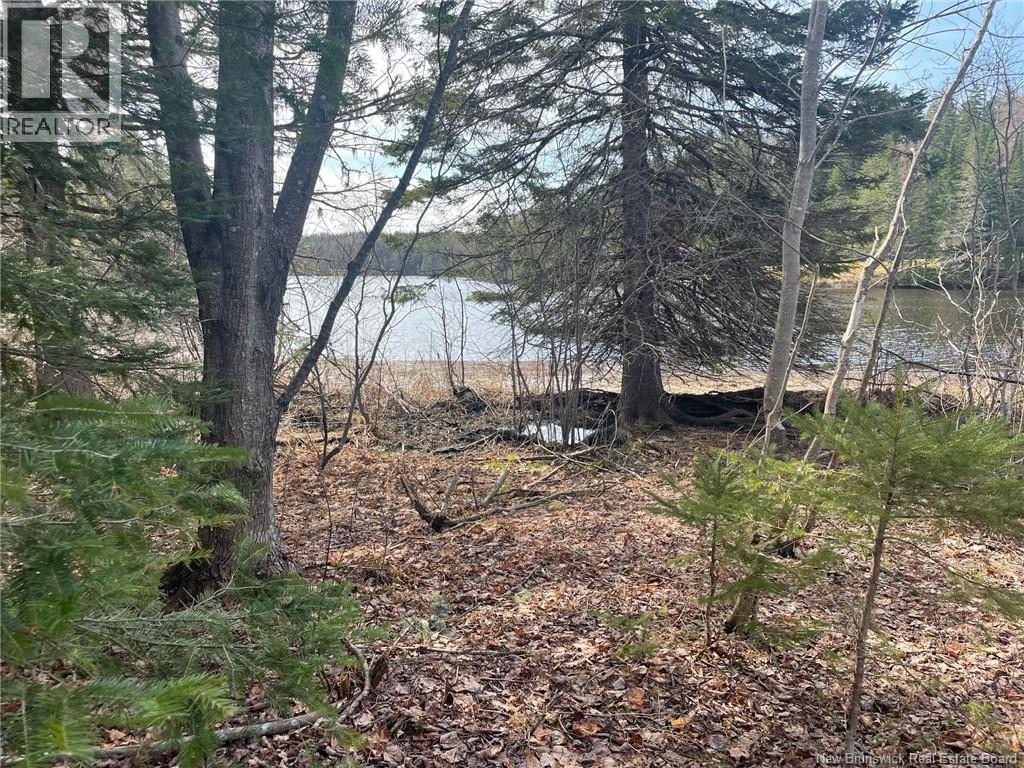 Lot 23-1 And Lot 23-2 Alden Warmen Road, Bass River, New Brunswick E4T 1A9 - Photo 7 - NB136348