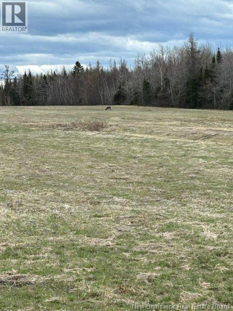 167 Rivière-Du-Portage Sud Street, Rivière-Du-Portage, New Brunswick E9H 1S2 - Photo 16 - NB136412