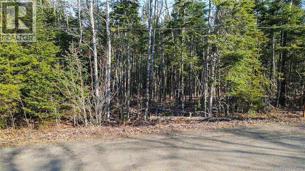 98-1 Mast Road, Three Tree Creek, New Brunswick E5L 2W1 - Photo 2 - NB137256