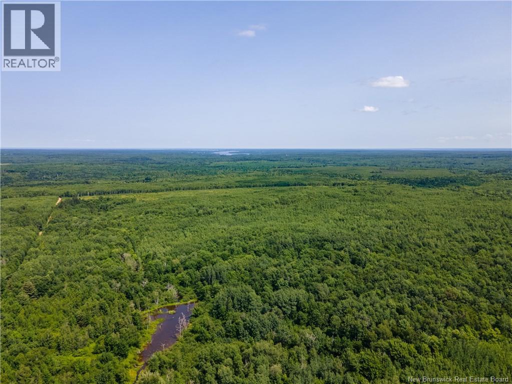 Lot 58 Alexandrina Road, Notre-Dame, New Brunswick  E4H 2H5 - Photo 4 - NB137656
