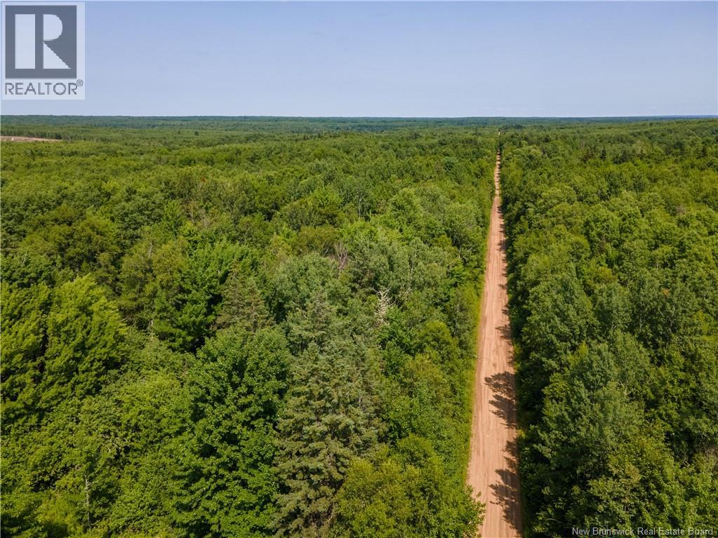 Lot 58 Alexandrina Road, Notre-Dame, New Brunswick  E4H 2H5 - Photo 5 - NB137656