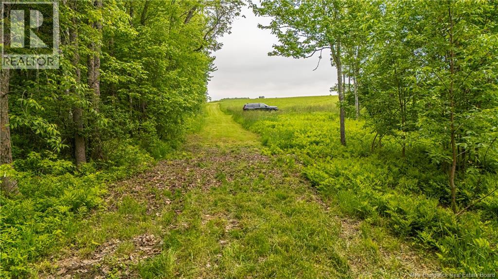 3506 Lower Cambridge Road, Cambridge-Narrows, New Brunswick  E4C 1S6 - Photo 46 - NB137967