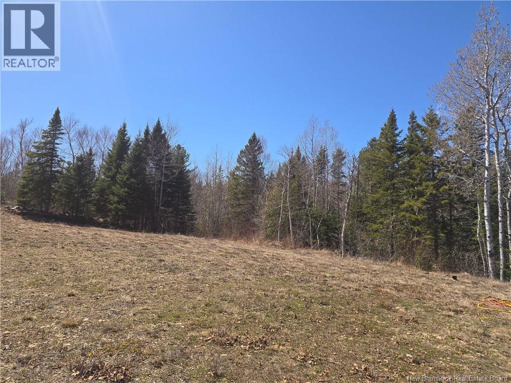 Lot 07-2 Straight Brook Road, Tabusintac, New Brunswick E9H 2B8 - Photo 27 - NB138092