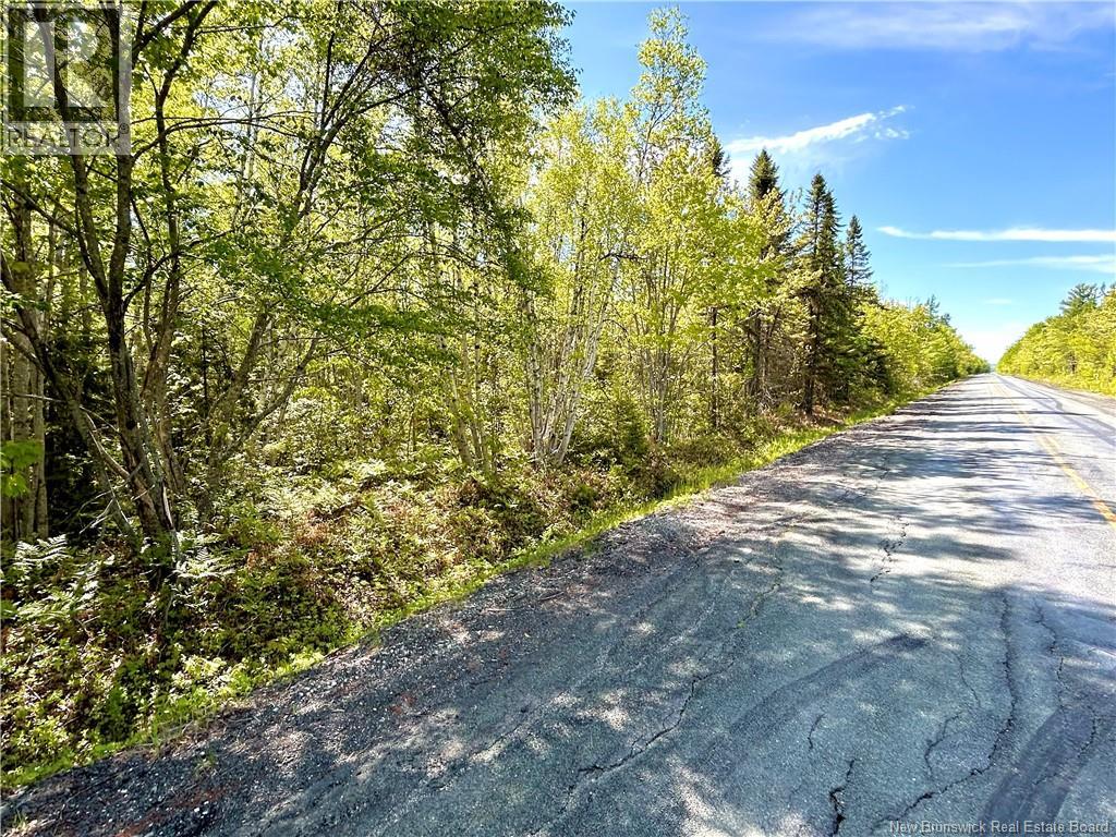 53.1 Acres Route 117, Napan, New Brunswick  E1N 4Y7 - Photo 3 - NB138362