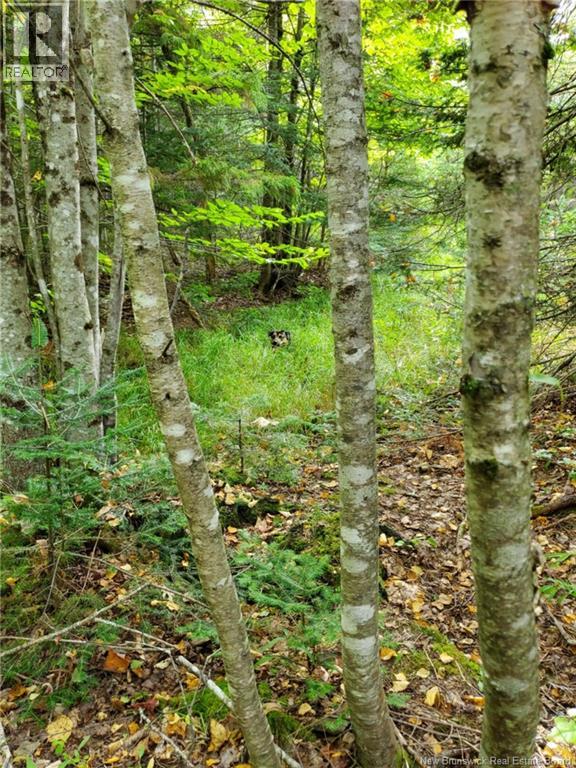 Lot 2 Thompson Road, Kierstead Mountain, New Brunswick  E5P 1X3 - Photo 2 - NB138441