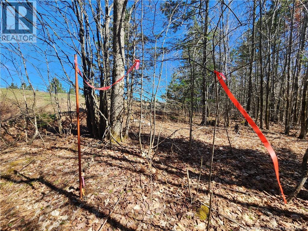 47950 Chemin Homestead Road, Moncton, New Brunswick  E1G 2P7 - Photo 14 - NB138455